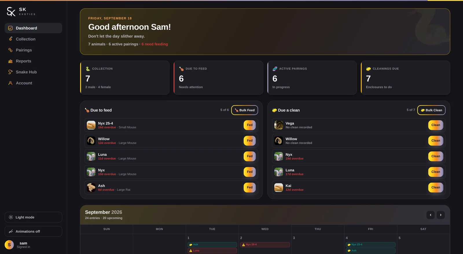 Ball python husbandry dashboard listing snakes due to feed and enclosures due for cleaning